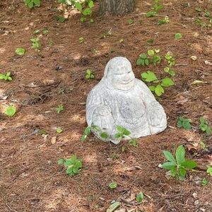 Meet your Posher, Pam